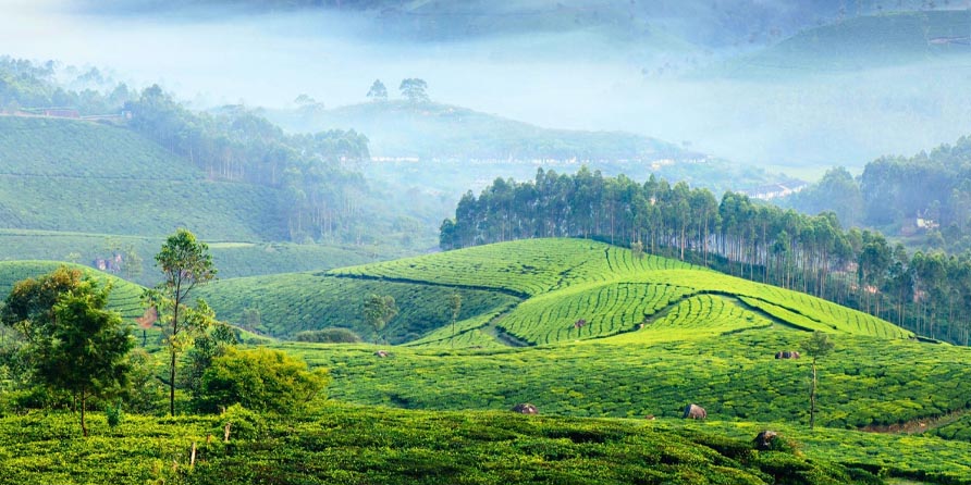 Munnar